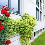 Nessi 3* Locarno