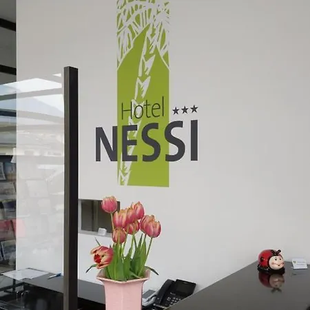 Nessi Otel 3*