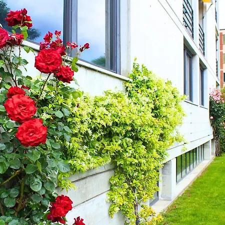 Garni Nessi Hotel