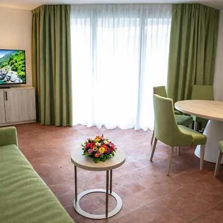 Nessi 3* Locarno