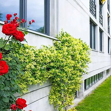 Nessi Locarno