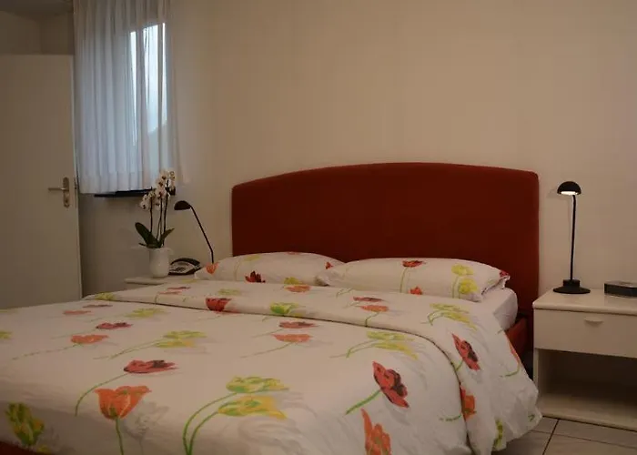 Hotel Hotel Nessi Locarno 3*