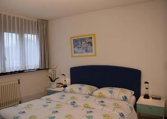 Hotel Nessi Locarno Hotel