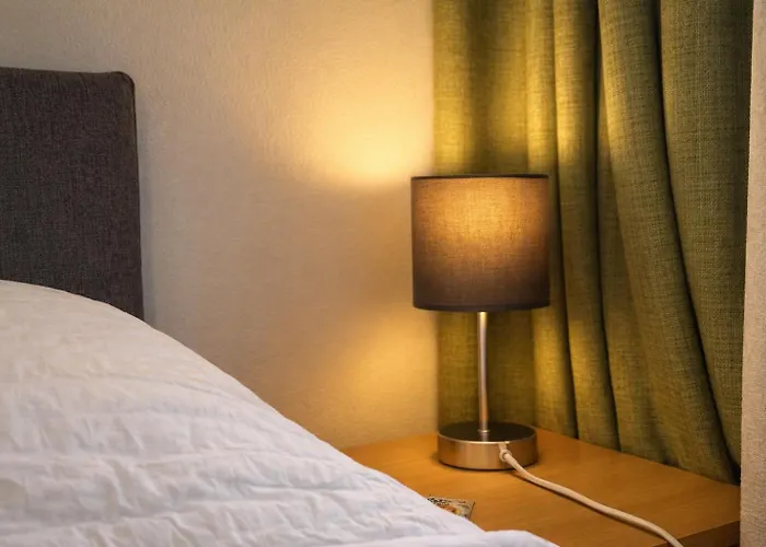 Hotel Nessi Locarno Hotel Locarno