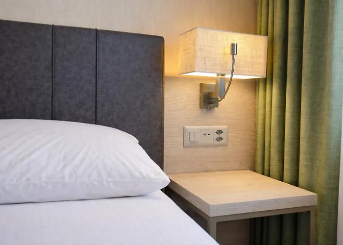 Hotel Nessi Locarno 3*