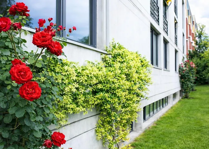 Hotel Nessi Locarno 3* Locarno