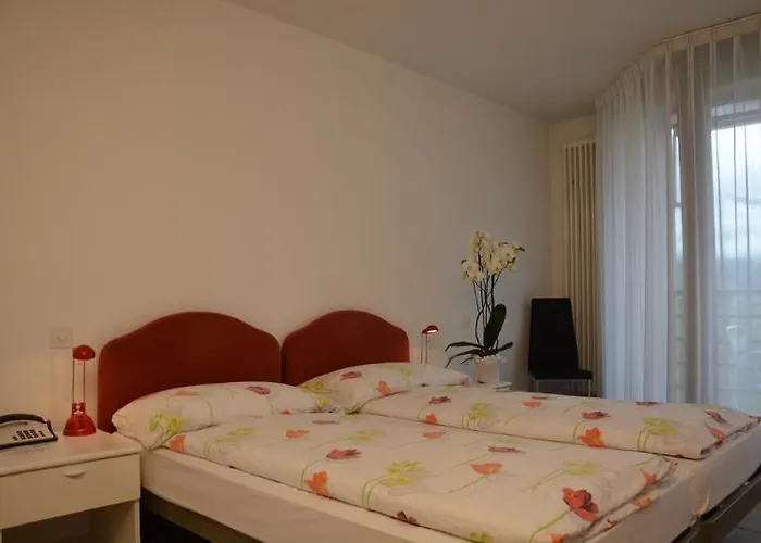 Hotel Nessi Locarno 3*